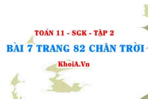 Bài 7 trang 82 Toán 11 Tập 2 Chân trời sáng tạo